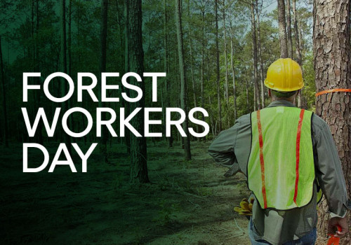 Forest workers day